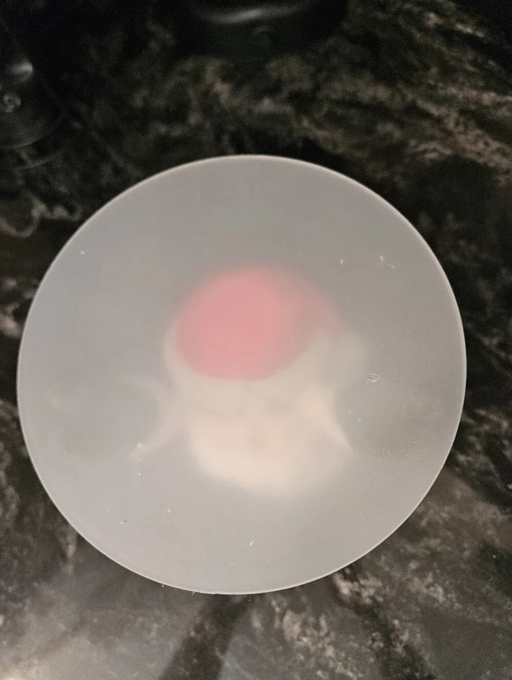 Resin Santa Claus Tabletop Snack & Treat Holder Figurine - Christmas Decor